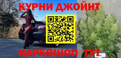 мдпв Ливны