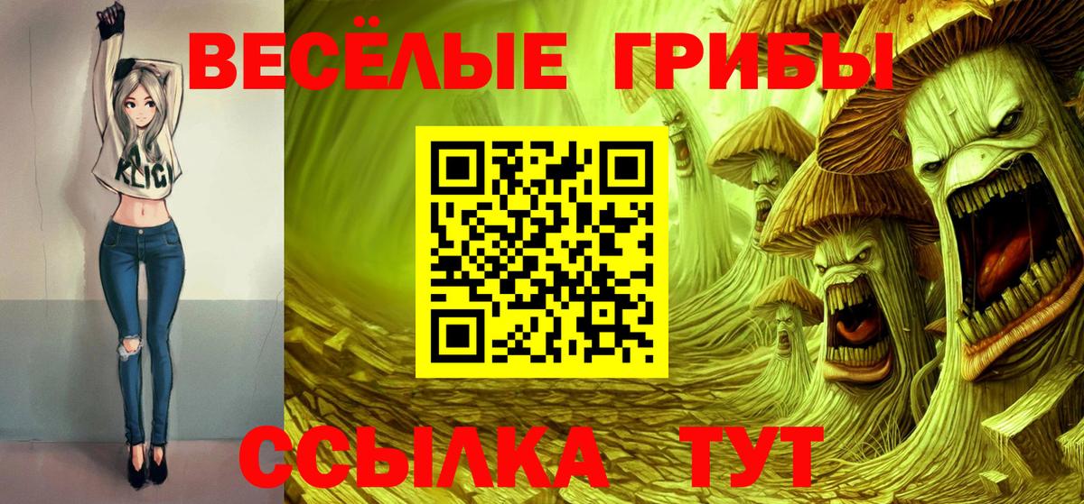 Елабуга  где продают   Вход с VPN  Галлюциногенные грибы Cubensis 