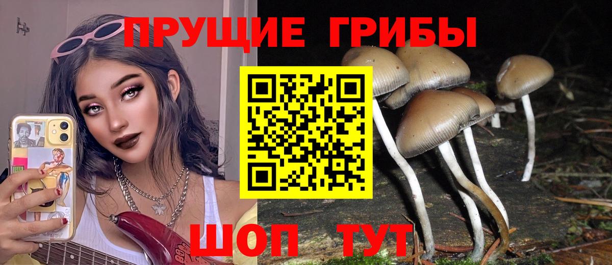 Псилоцибиновые грибы MAGIC MUSHROOMS Елабуга